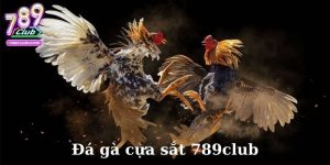 Đá gà cựa sắt 789club