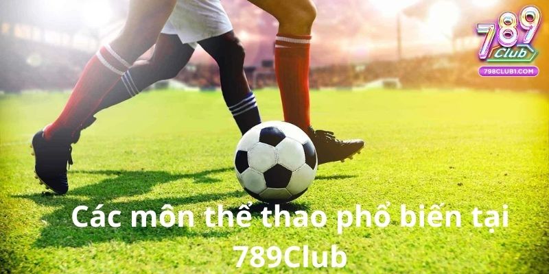 Các môn thể thao phổ biến tại 789Club