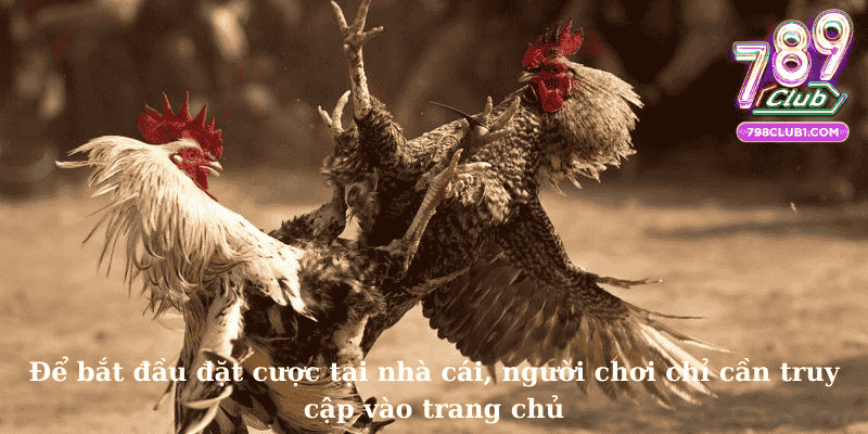Để bắt đầu đặt cược tại nhà cái, người chơi chỉ cần truy cập vào trang chủ